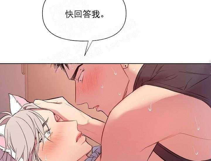 《突袭奇妙玩具》第16话 无用的礼物 第50页