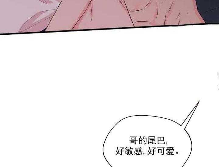 《突袭奇妙玩具》第11话 11_翘尾巴 第52页