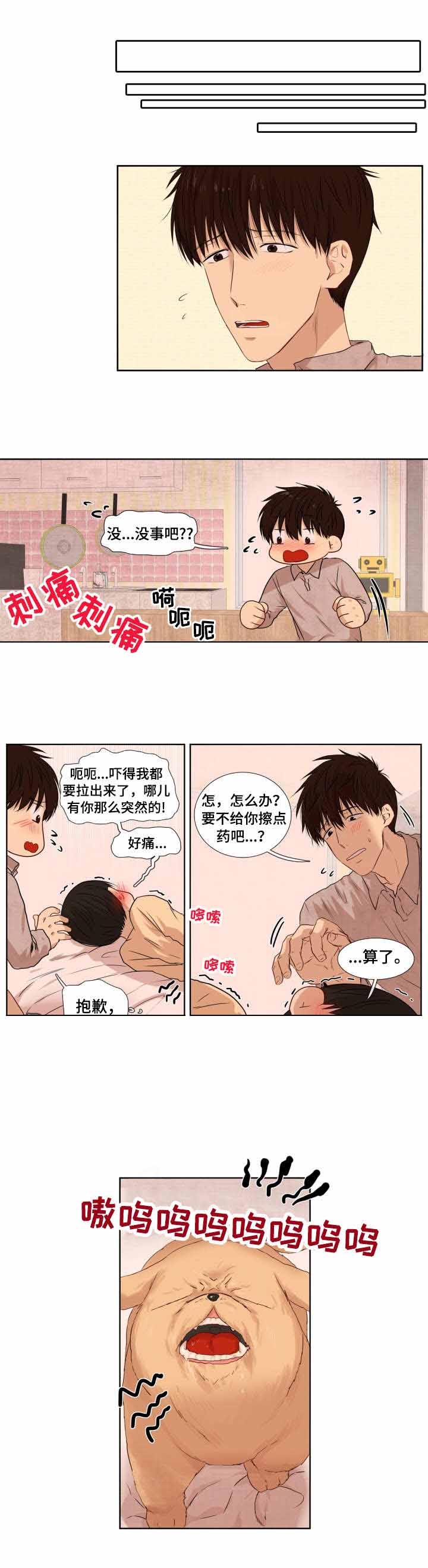 《领养之恩》第9话 第5页
