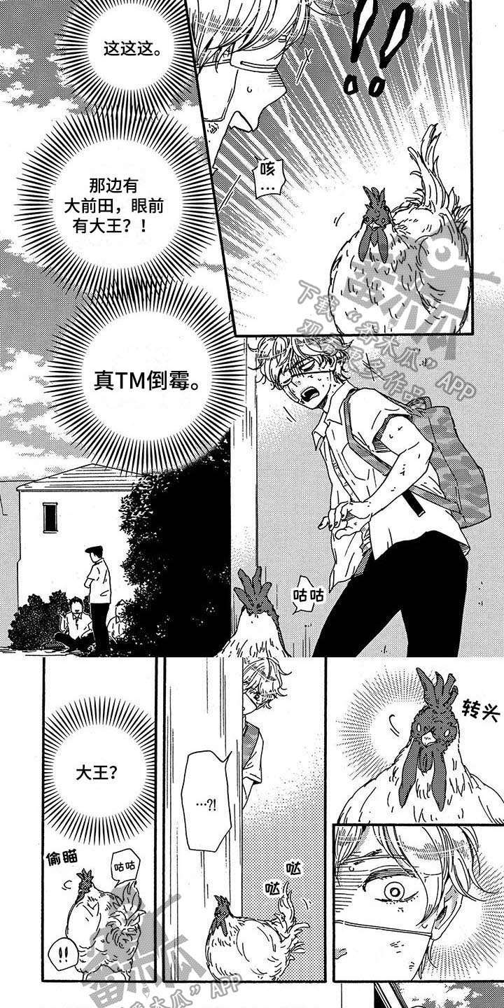 《明日抉择》第29章带路 第4页