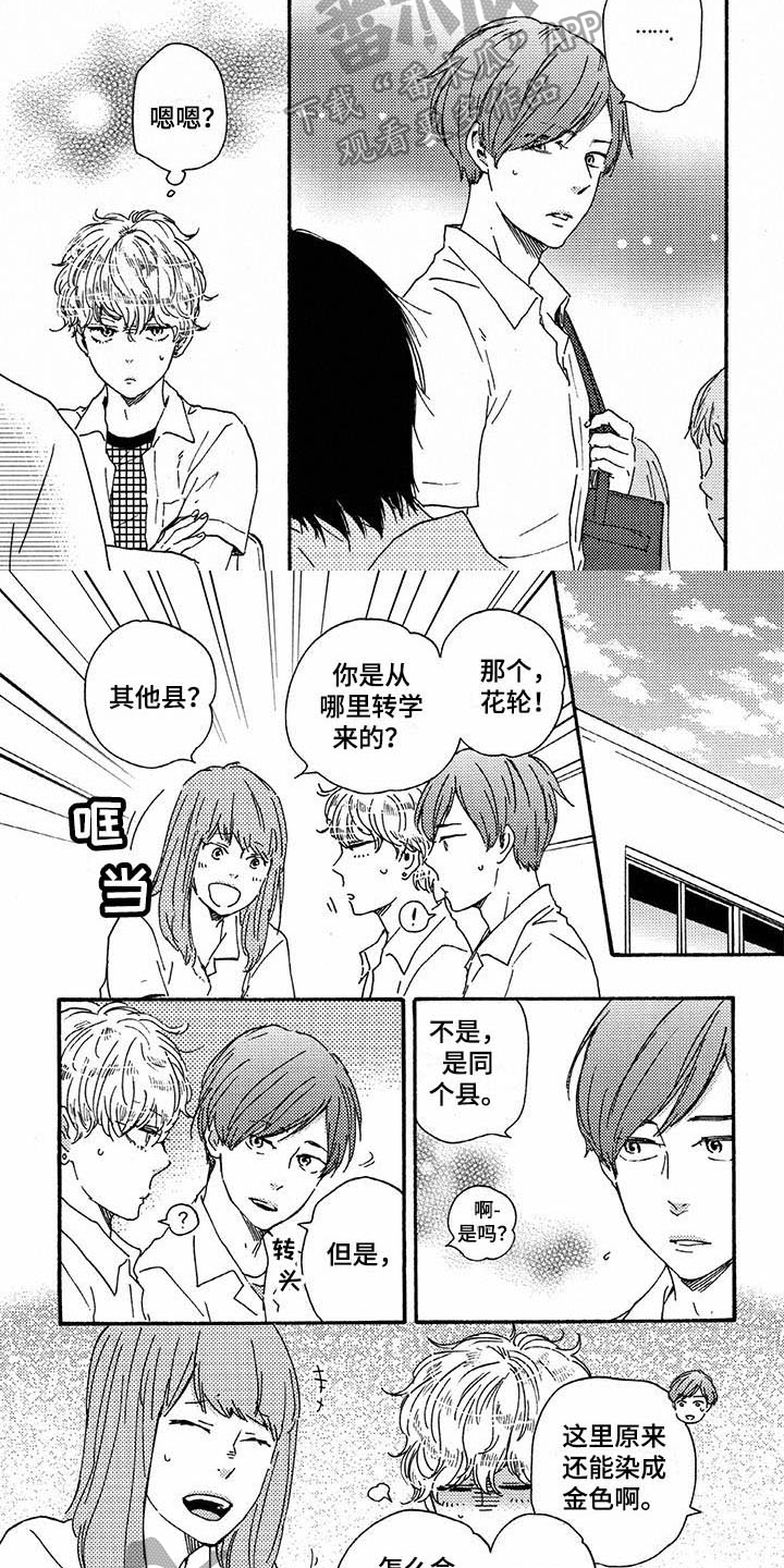 《明日抉择》第40章转学生 第5页