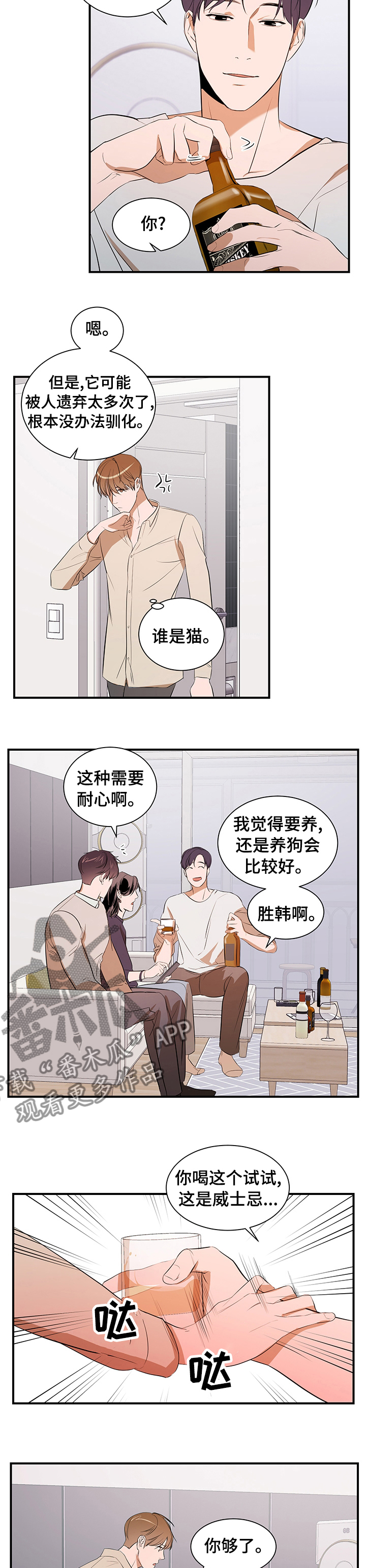 《私人空间》第63章一只猫 第4页