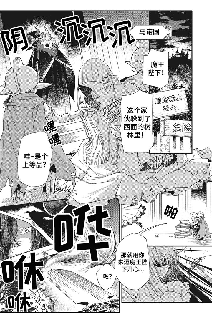 《魔王诺亚》第1章魔王城 第2页