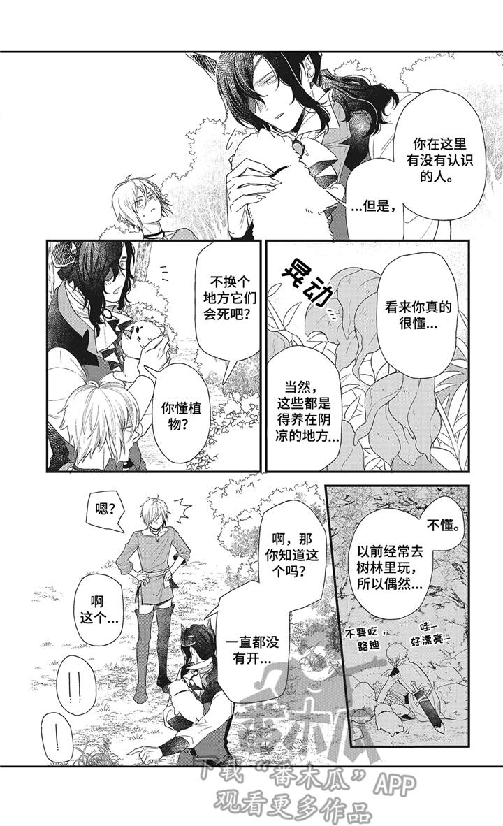 《魔王诺亚》第2章变弱了 第12页