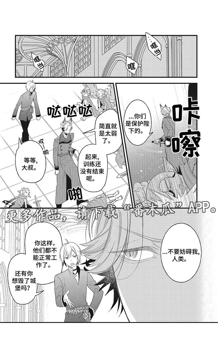 《魔王诺亚》第5章远征 第13页