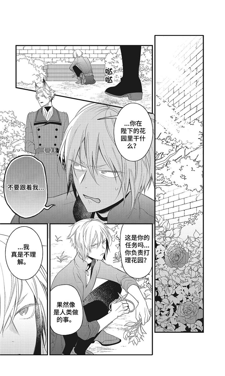 《魔王诺亚》第5章远征 第15页