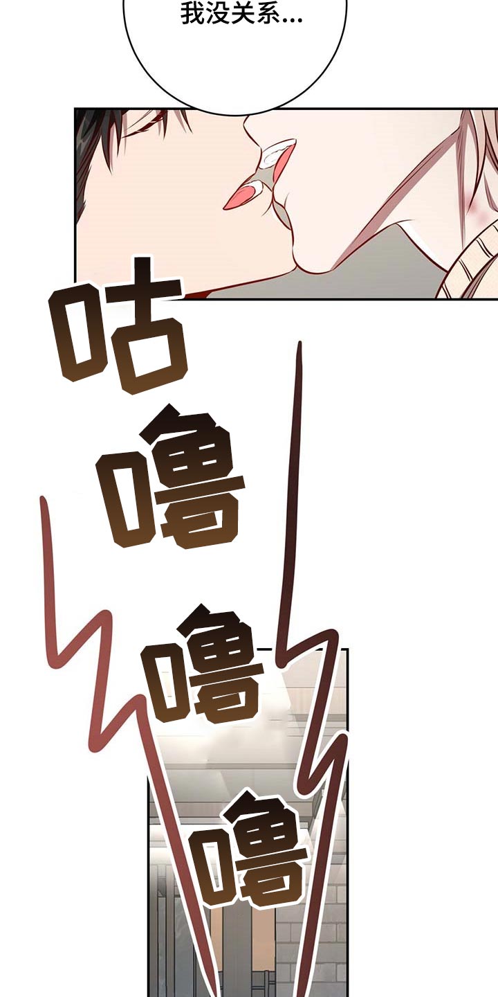 《纽约秘事》第115章【第二季】不会再害怕（完结） 第12页