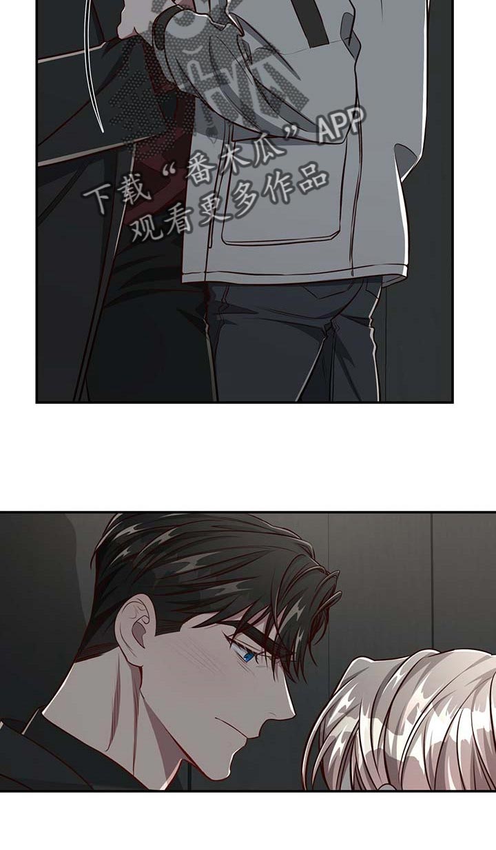 《纽约秘事》第114章【第二季】答应我吧 第11页