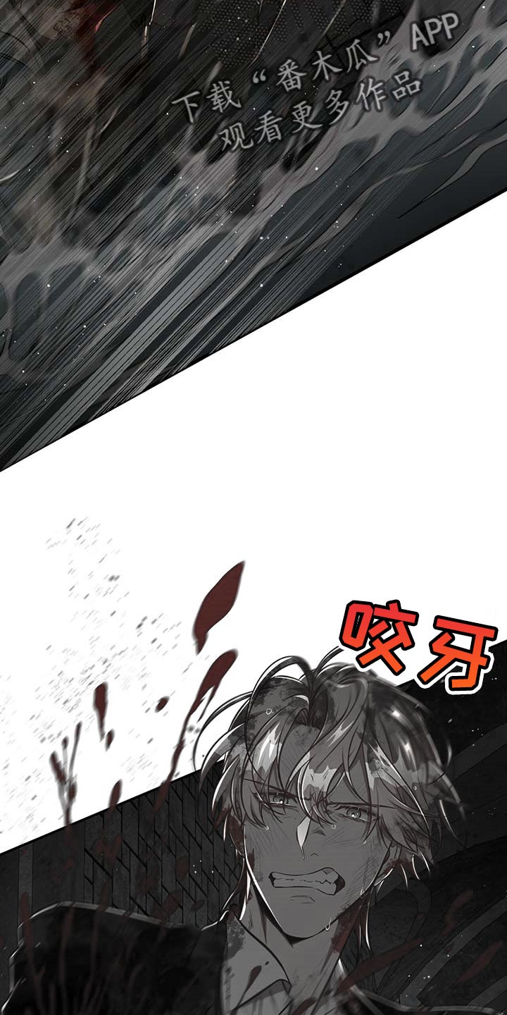 《纽约秘事》第105章【第二季】搏斗 第15页