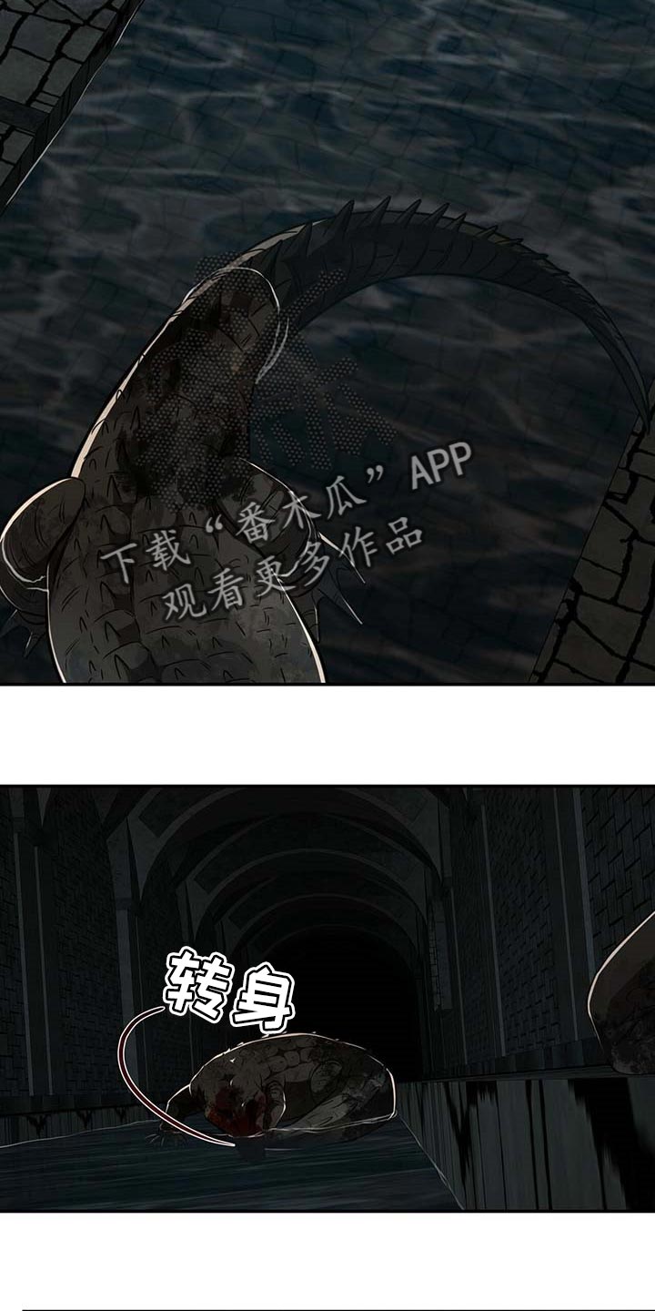 《纽约秘事》第105章【第二季】搏斗 第9页