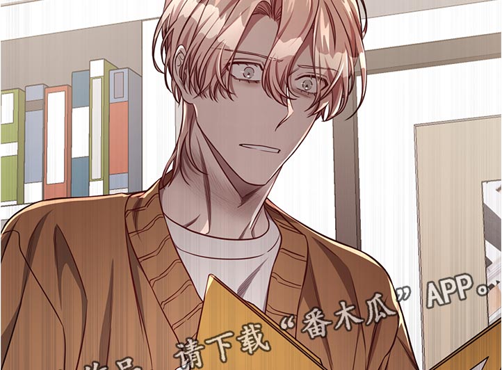 《纽约秘事》第72章【第二季】调查 第15页