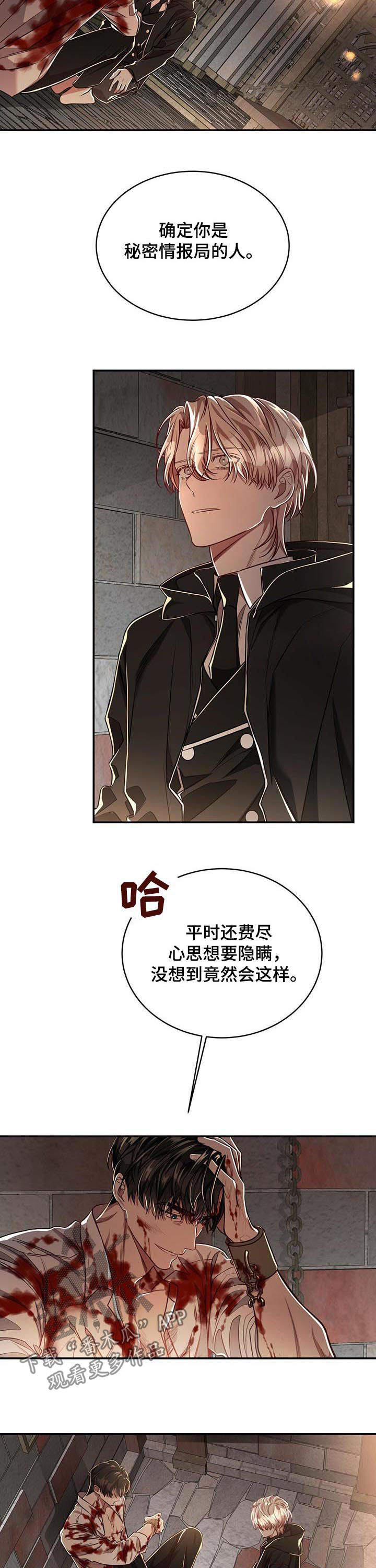《纽约秘事》第66章【第二季】代号影子 第5页