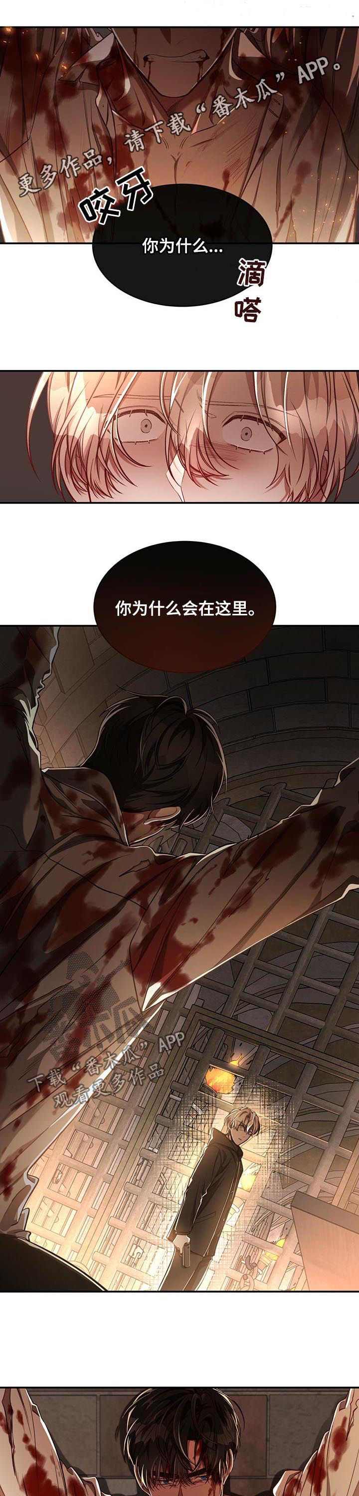 《纽约秘事》第65章【第二季】不是因为你 第1页