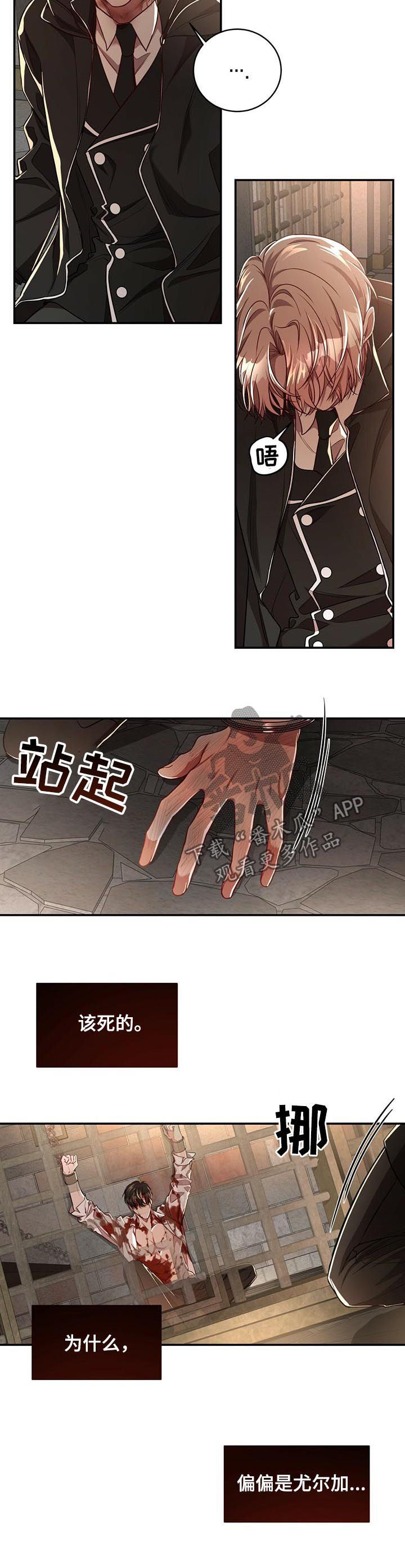 《纽约秘事》第65章【第二季】不是因为你 第5页