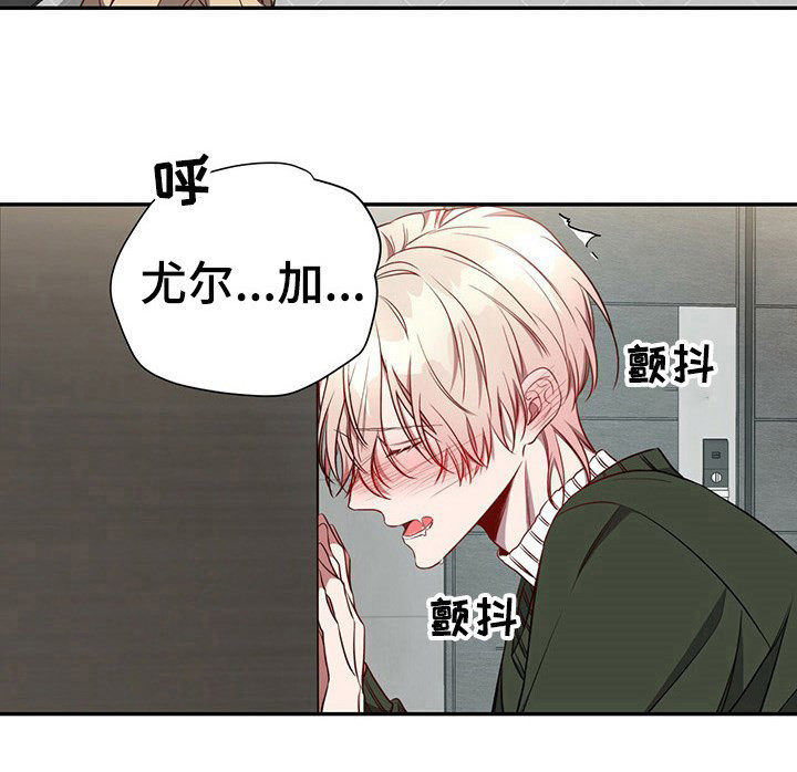 《纽约秘事》第58章【第一季番外】初雪 第6页