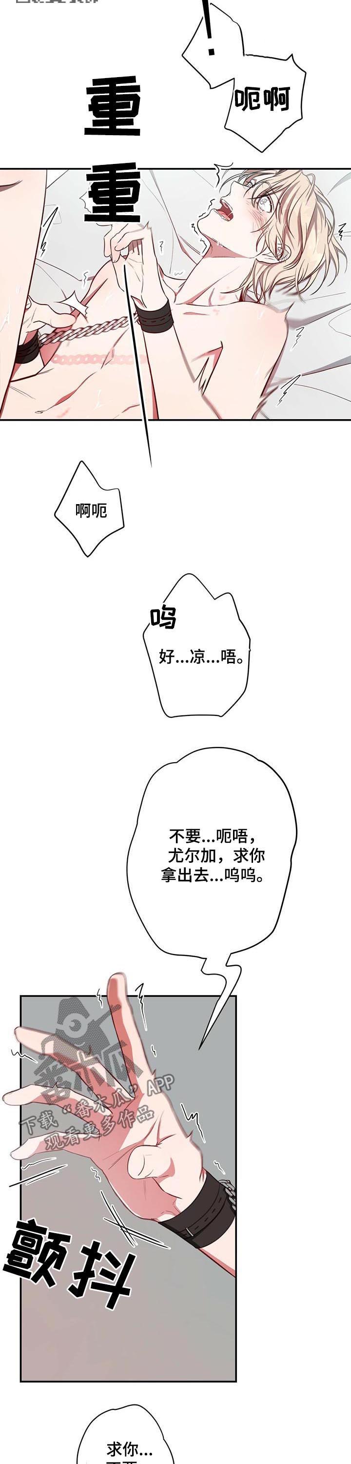 《纽约秘事》第35章就这么累？ 第6页