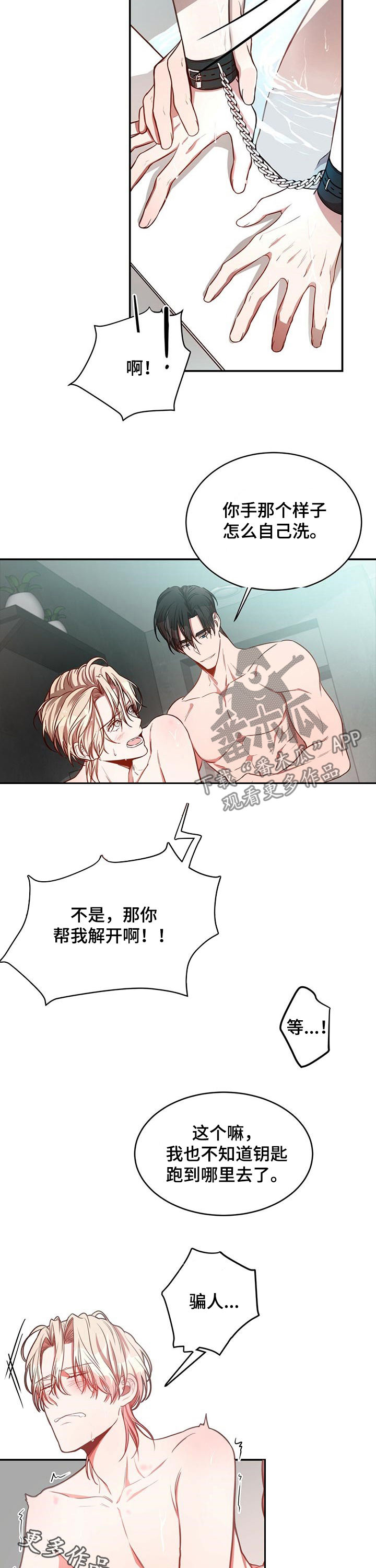 《纽约秘事》第31章骗人 第11页