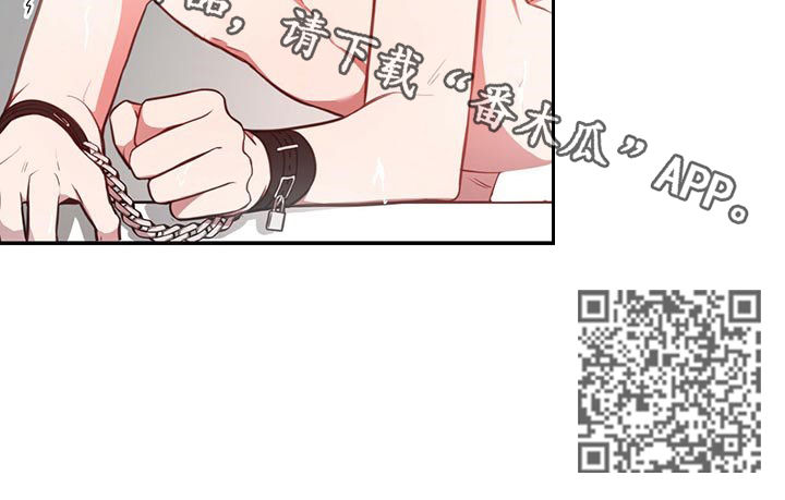 《纽约秘事》第31章骗人 第12页
