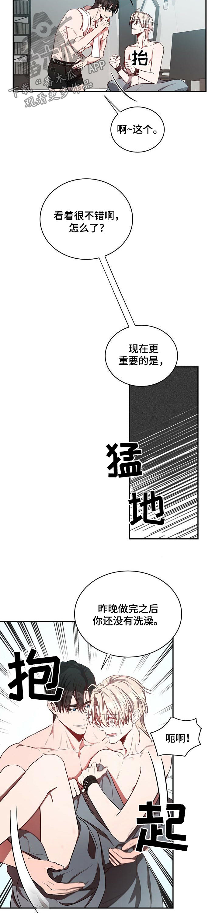 《纽约秘事》第31章骗人 第5页