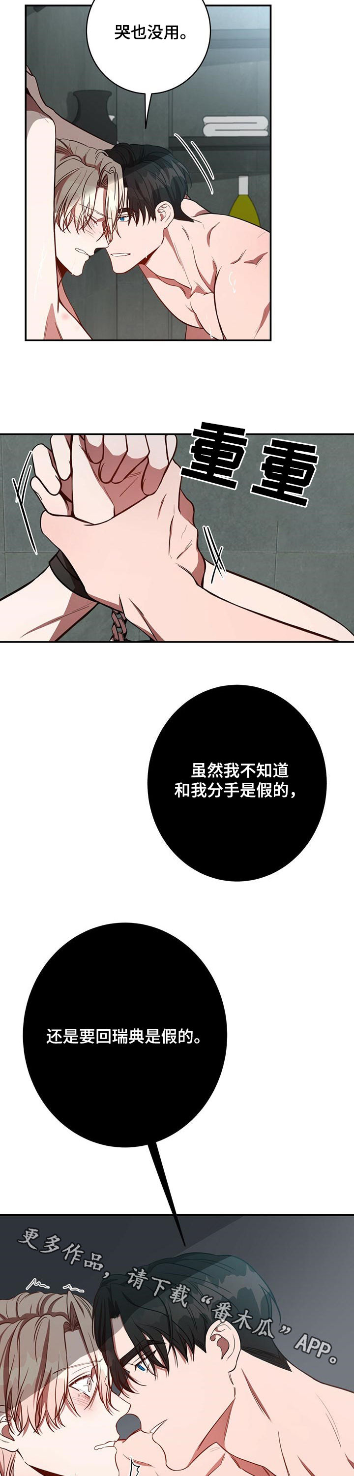 《纽约秘事》第32章谎言 第11页