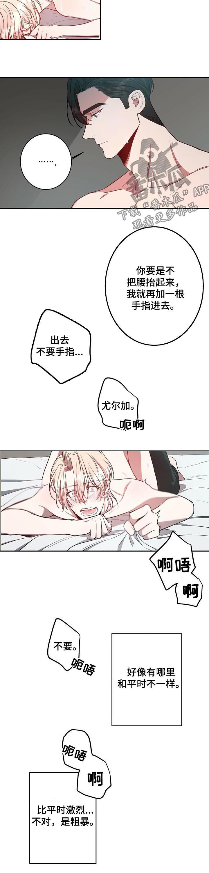 《纽约秘事》第30章最后几天 第12页