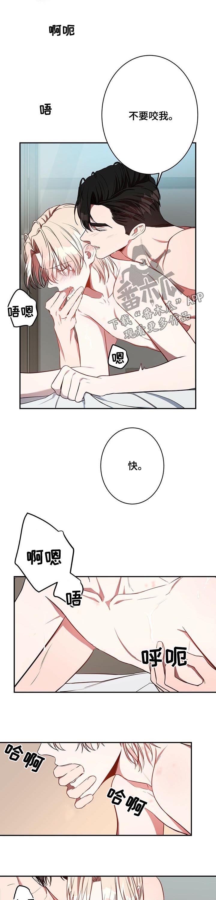 《纽约秘事》第30章最后几天 第8页