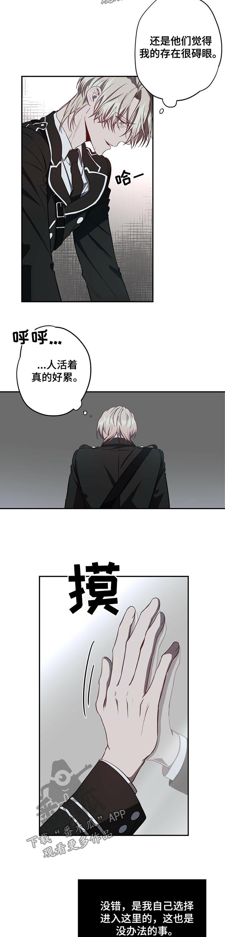 《纽约秘事》第27章冷静 第3页