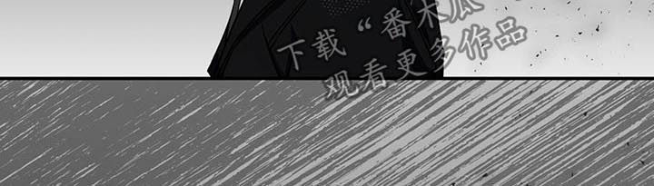 《纽约秘事》第27章冷静 第5页