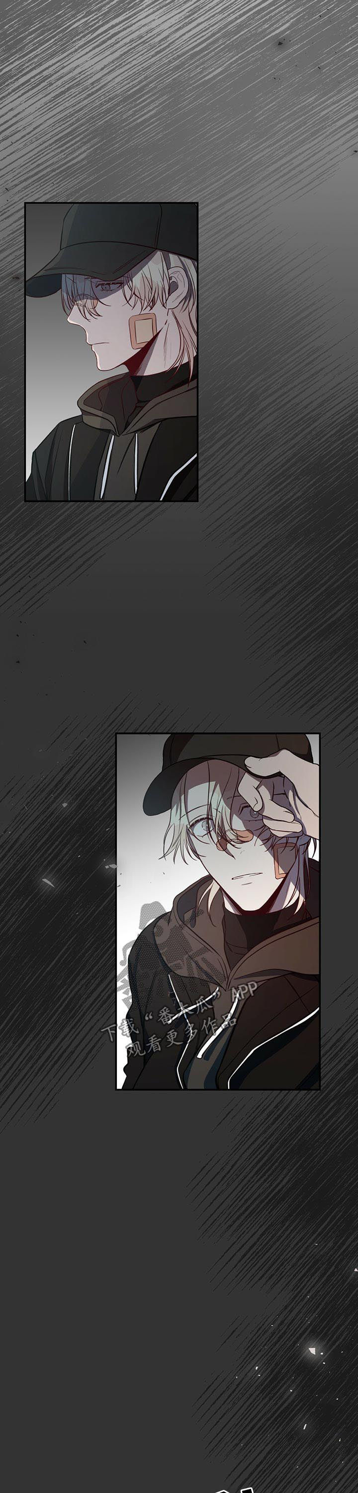 《纽约秘事》第27章冷静 第6页