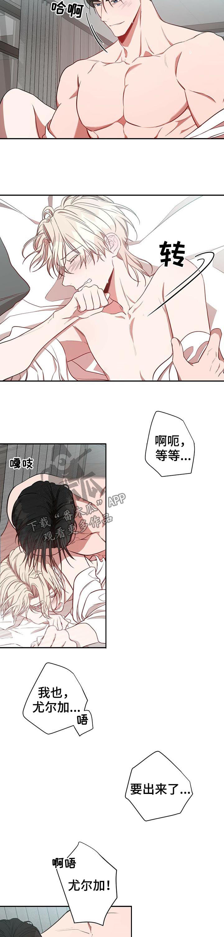 《纽约秘事》第23章特别 第7页