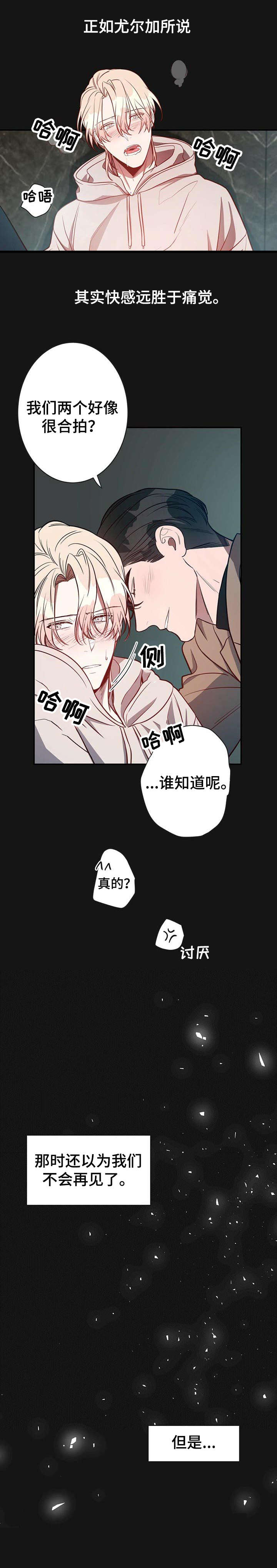 《纽约秘事》第15章好想法 第4页