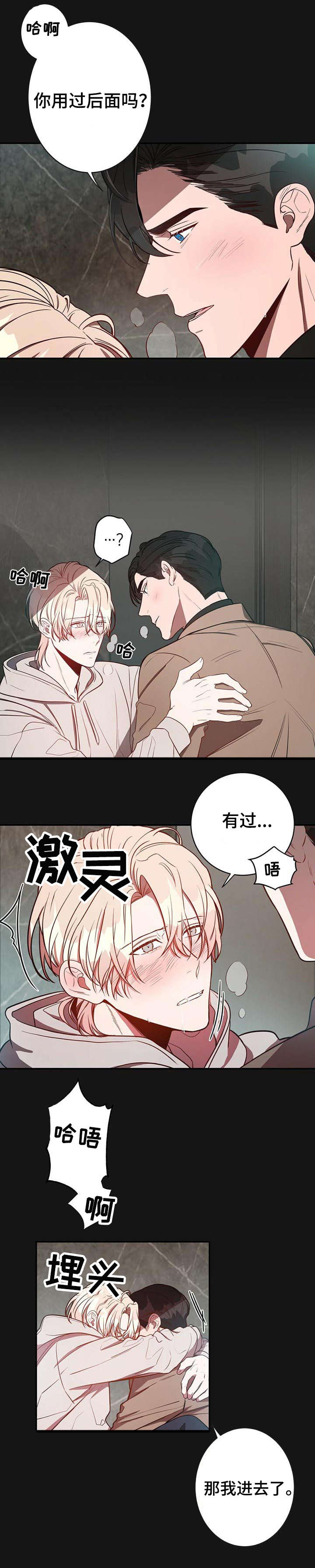 《纽约秘事》第14章初识 第7页