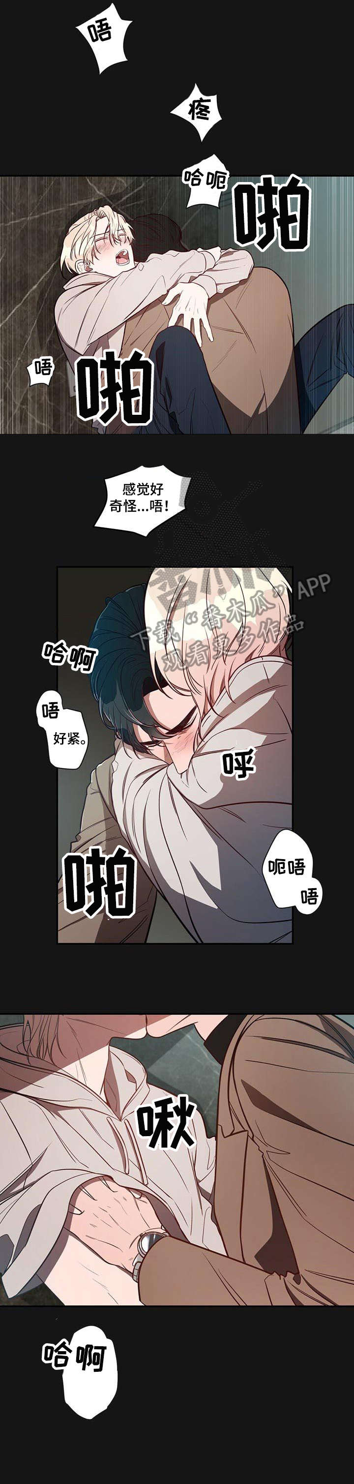 《纽约秘事》第14章初识 第8页