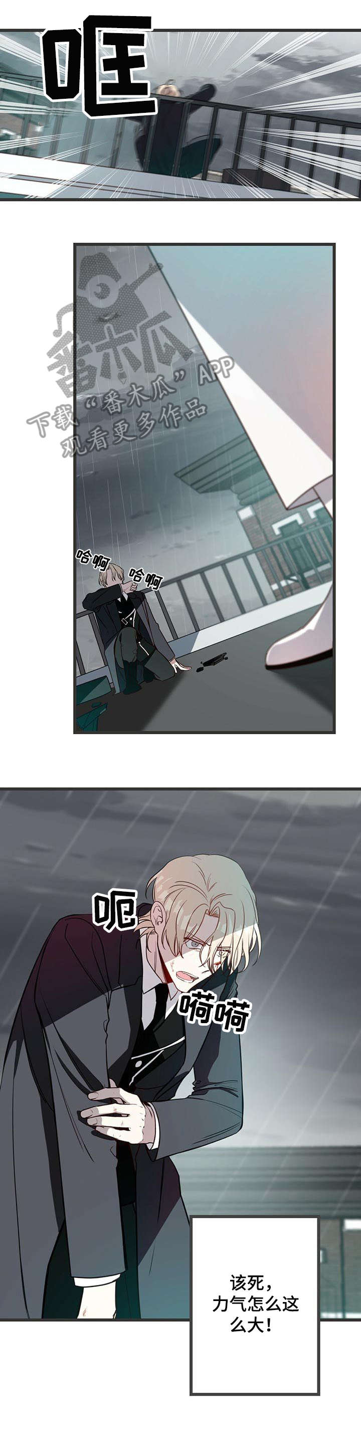 《纽约秘事》第5章烟雾弹 第8页