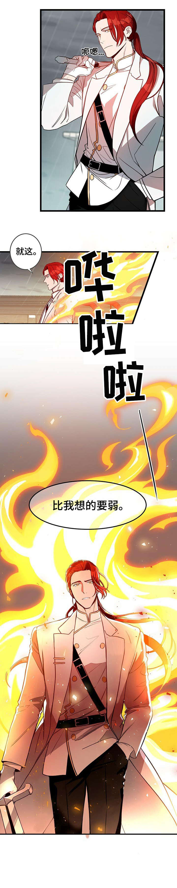 《纽约秘事》第5章烟雾弹 第9页
