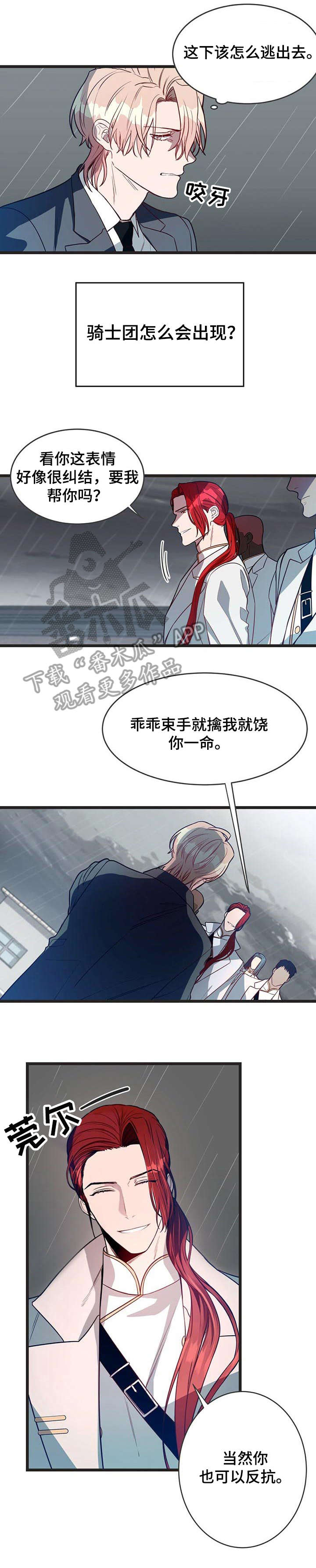 《纽约秘事》第4章骑士团 第7页