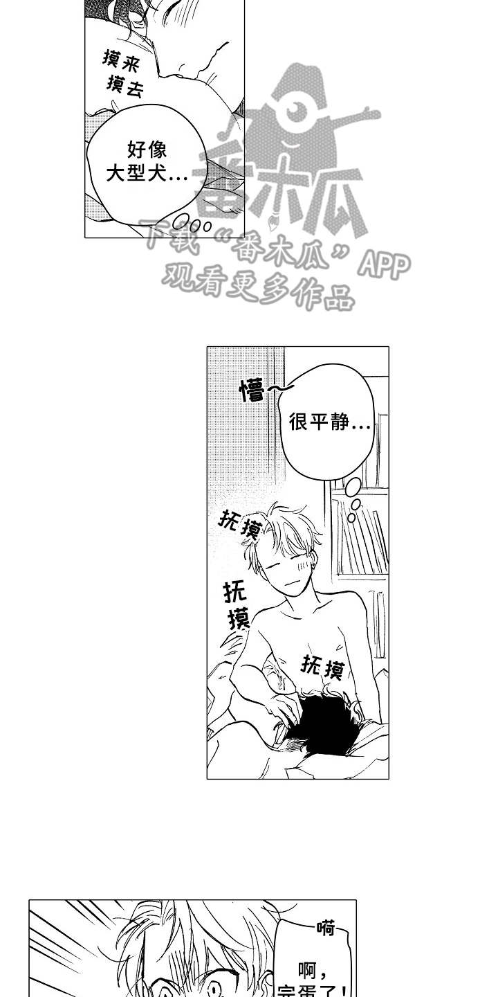 《男友忠诚度》第19章更加温暖 第13页