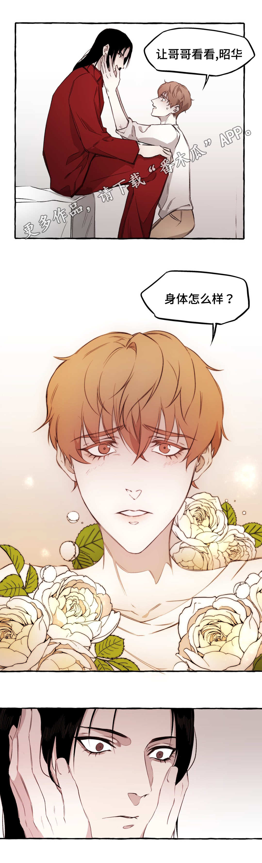 《殊遇》第12章清醒 第3页