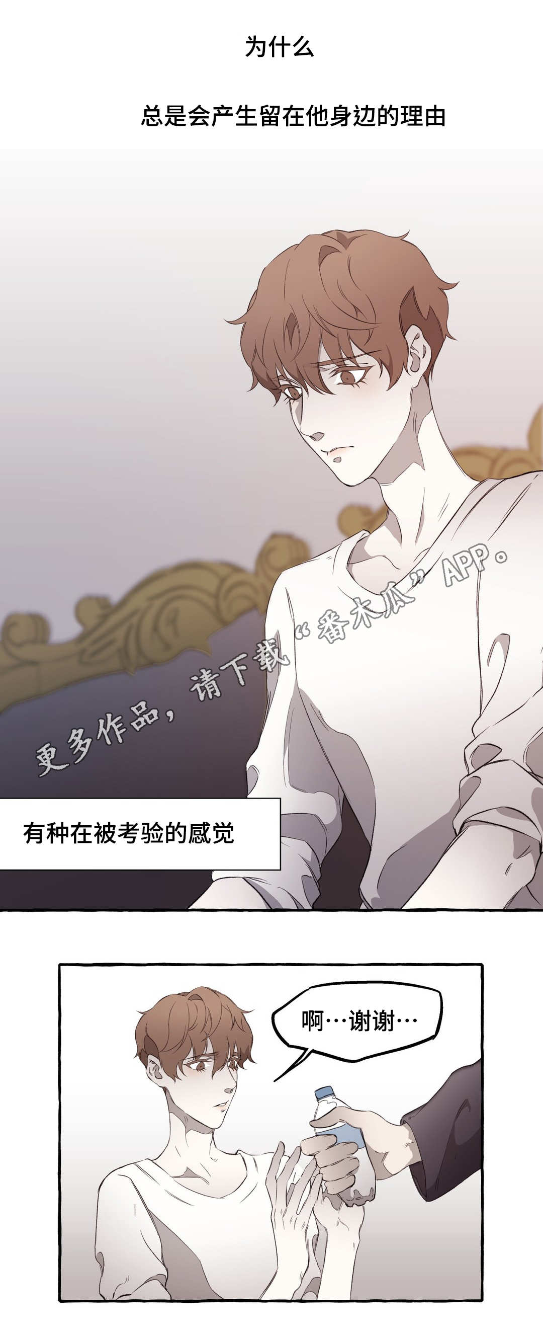 《殊遇》第16章关系 第2页