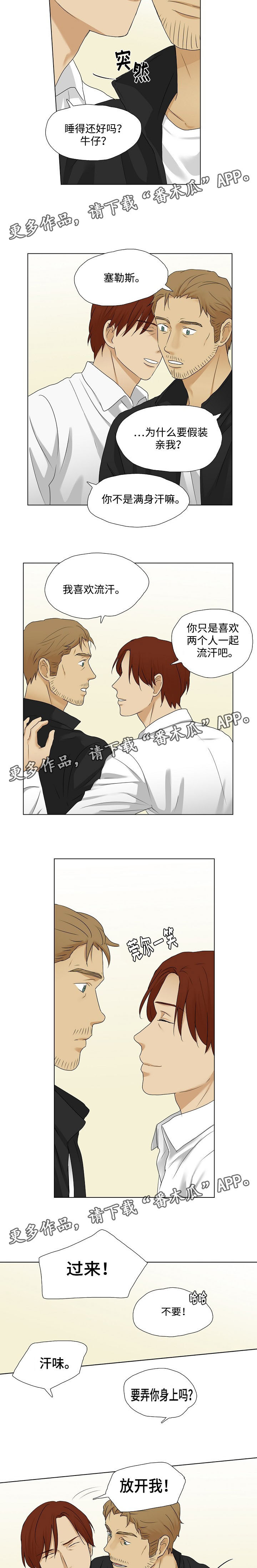 《放牧》第21章圣诞节邀请 第3页