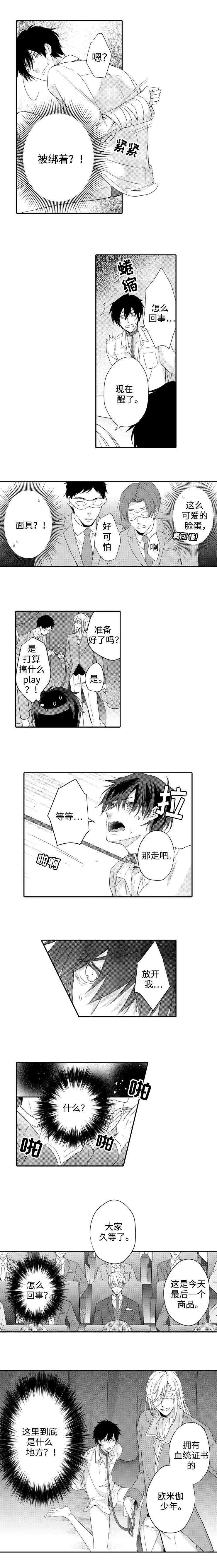 《缔结》第1章绑架 第3页