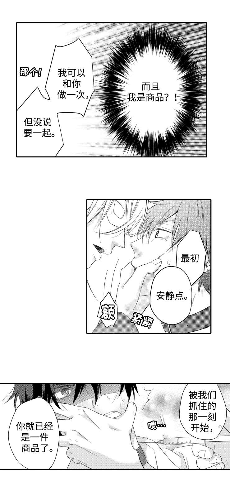《缔结》第2章拍卖 第1页