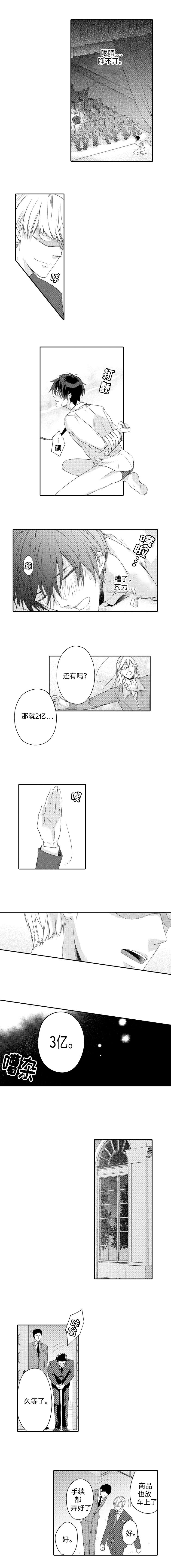 《缔结》第2章拍卖 第4页
