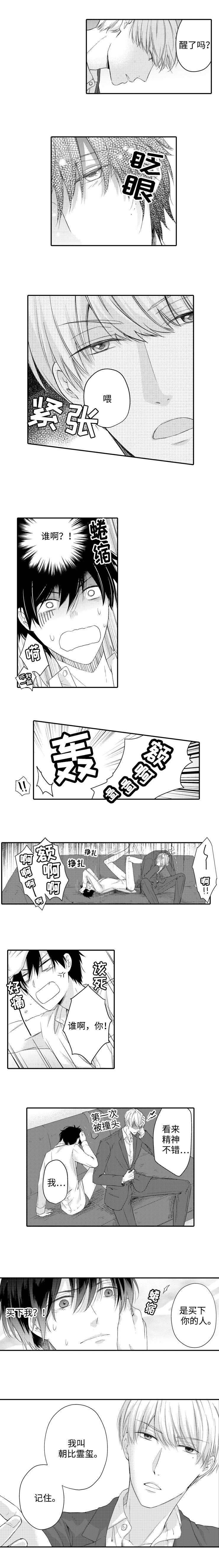 《缔结》第3章要求 第2页