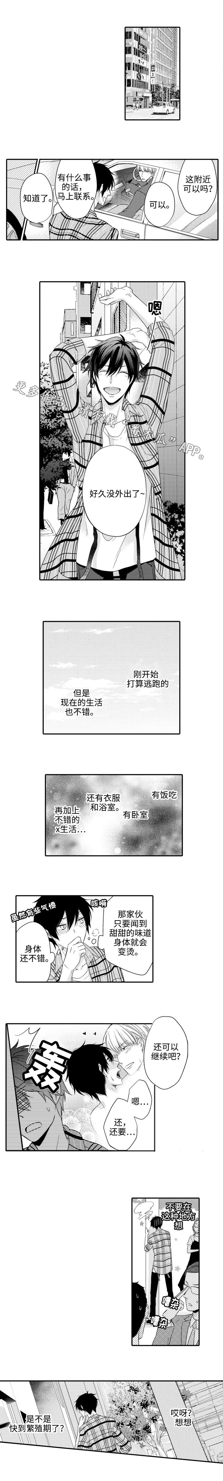 《缔结》第10章意外 第1页