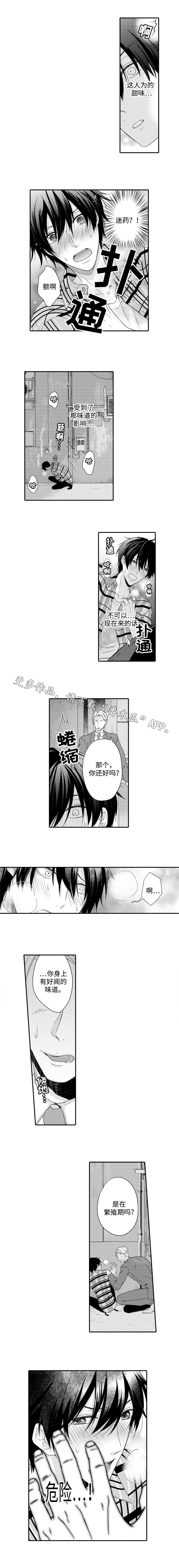 《缔结》第10章意外 第3页