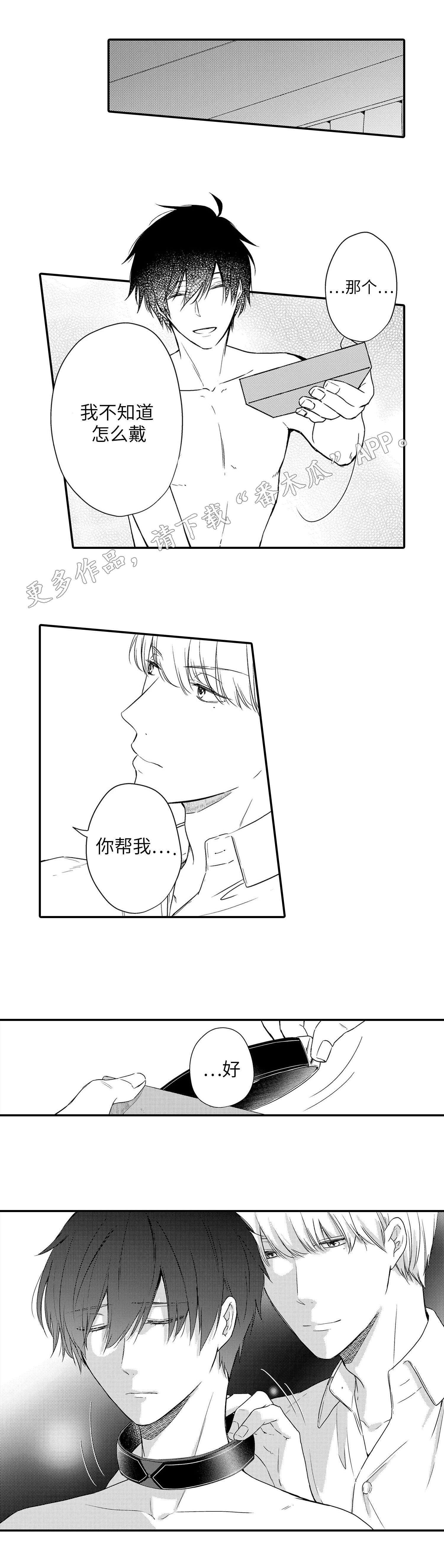 《缔结》第20章聚会 第2页