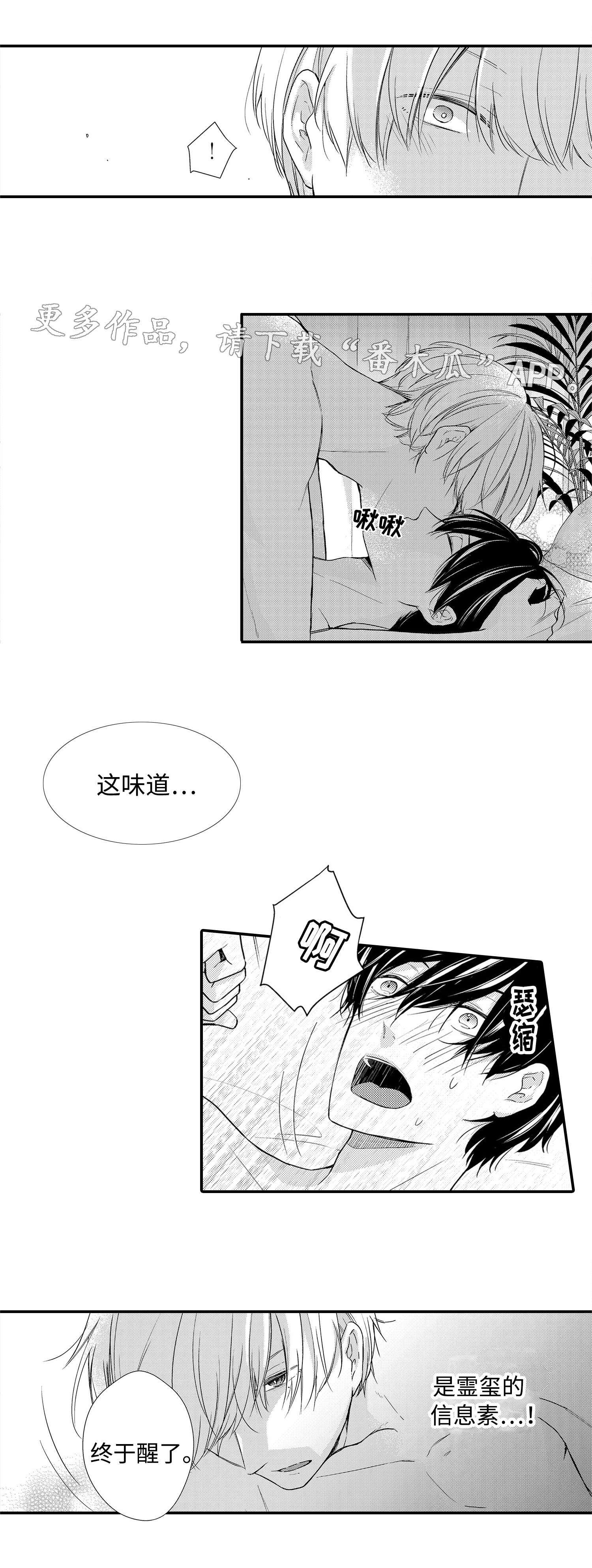 《缔结》第19章项链 第3页