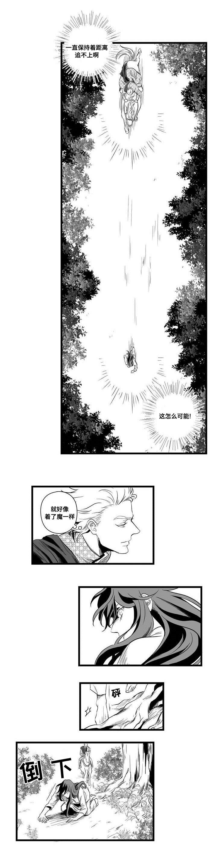 《巫师与王子》第1章女巫 第10页