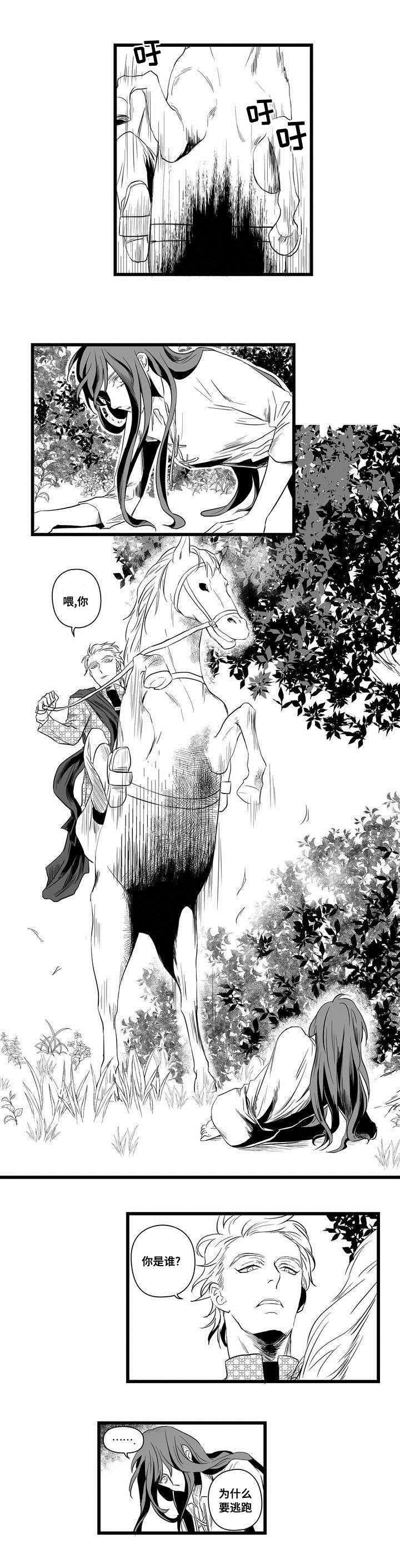 《巫师与王子》第1章女巫 第11页